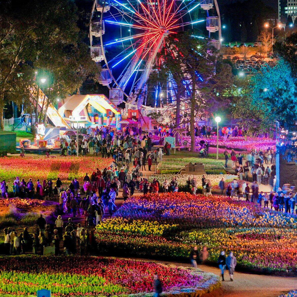 Seasonal Festivals and Events in Canberra You Can't Miss