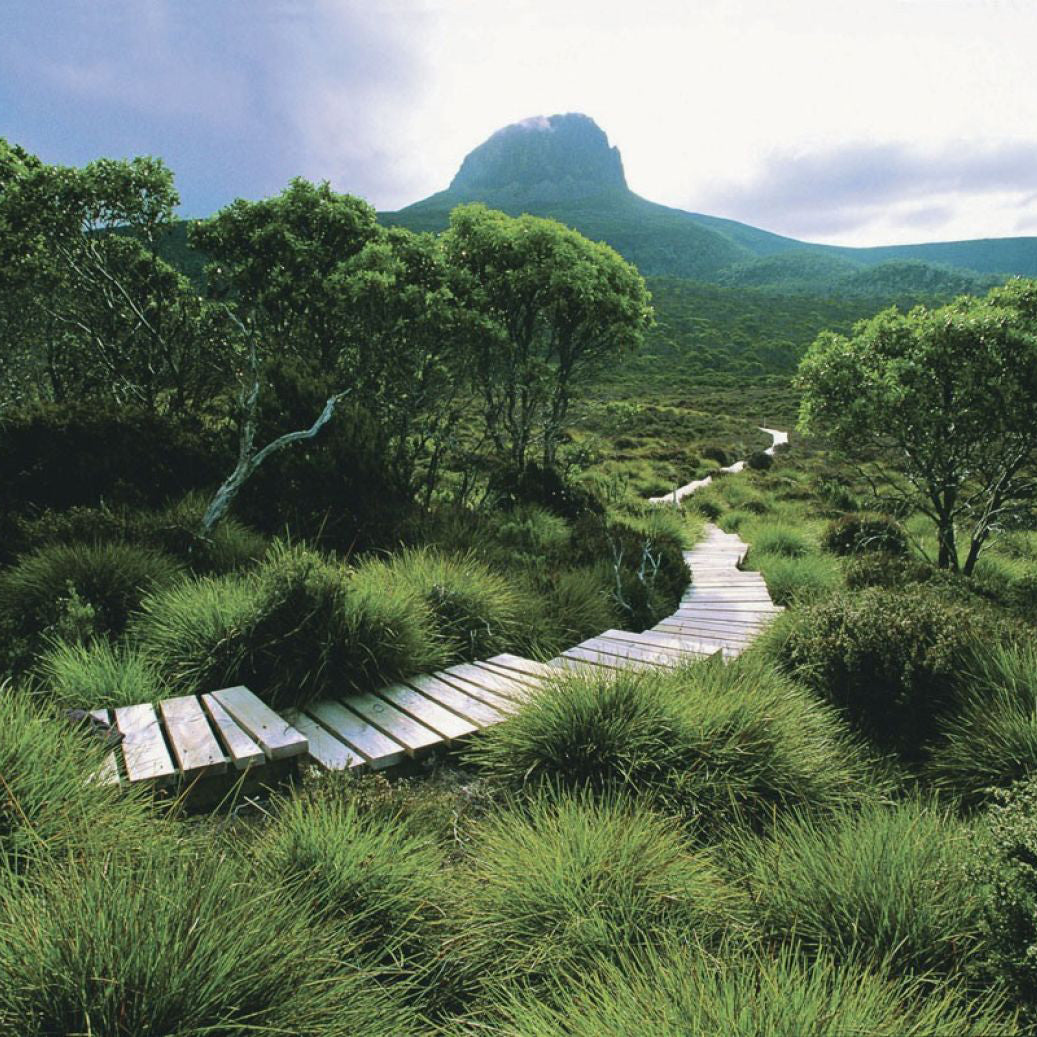 Tasmania’s Best Hiking Trails and National Parks