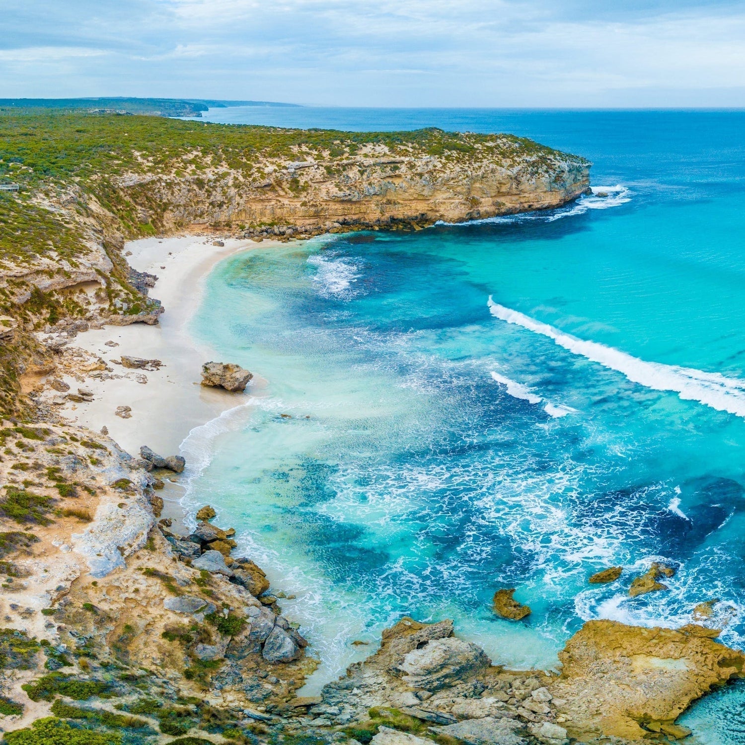 Discover Kangaroo Island: Australia’s Wildlife and Nature Sanctuary