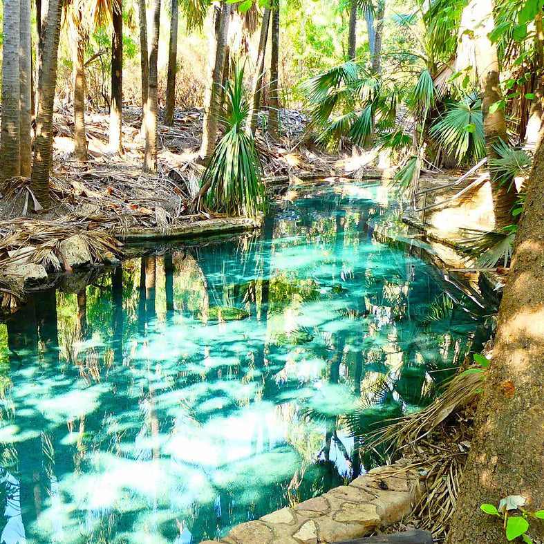 Top Aboriginal Cultural Experiences in the Northern Territory