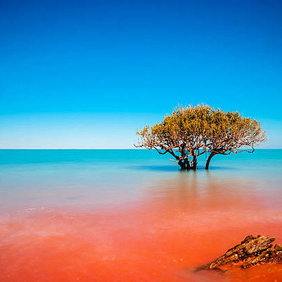 7 Places in Western Australia For Your Next Big Escape